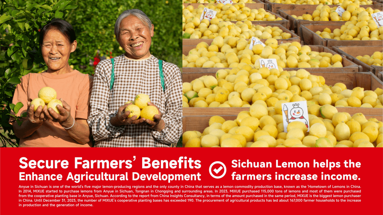 MIXUE Introduction 18