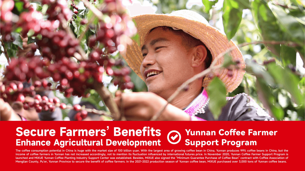 MIXUE Introduction 19